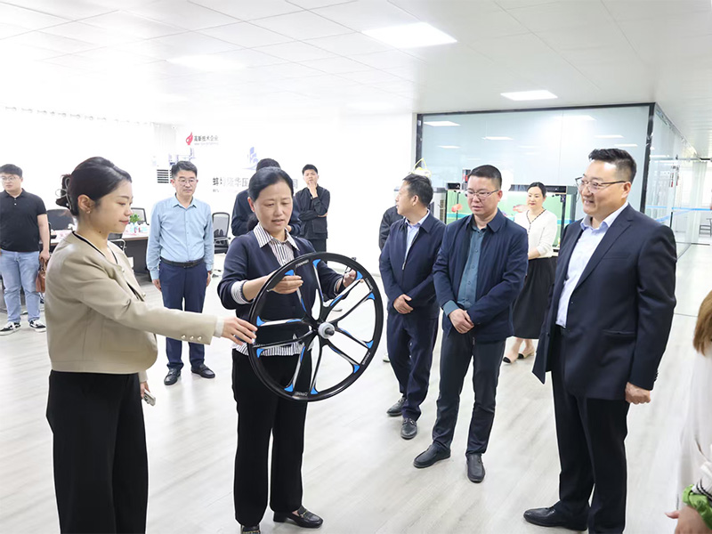 Sang Yanhui, the secretary of the CPC Bengbu District Committee of Bengbu City, led a team to conduct research at Bengbu Longhua Die Casting Machine Co., LTD